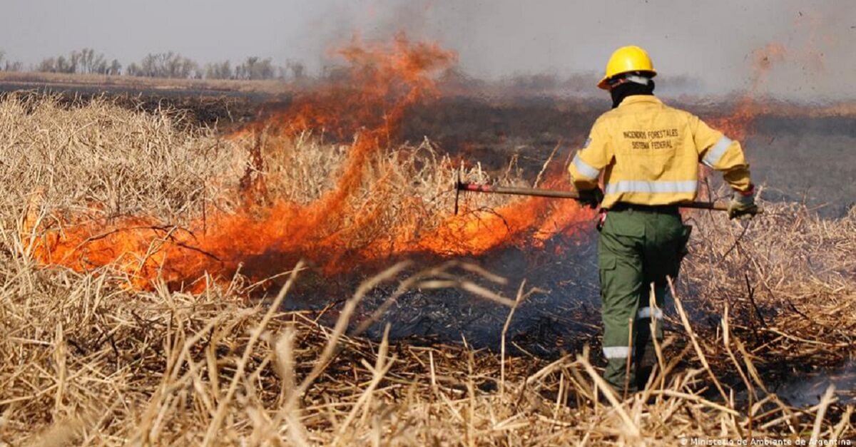 http://incendios%20en%20el%20delta%20del%20paraná%20|%20Desmiento%20es%20un%20portal%20de%20noticias%20sobre%20actualidad%20política,%20económica%20y%20social%20argentina,%20de%20la%20Provincia%20de%20Buenos%20Aires%20y%20sus%20municipios.%20Con%20un%20segmento%20dedicado%20exclusivamente%20a%20combatir%20las%20fake%20news%20y%20la%20desinformación.